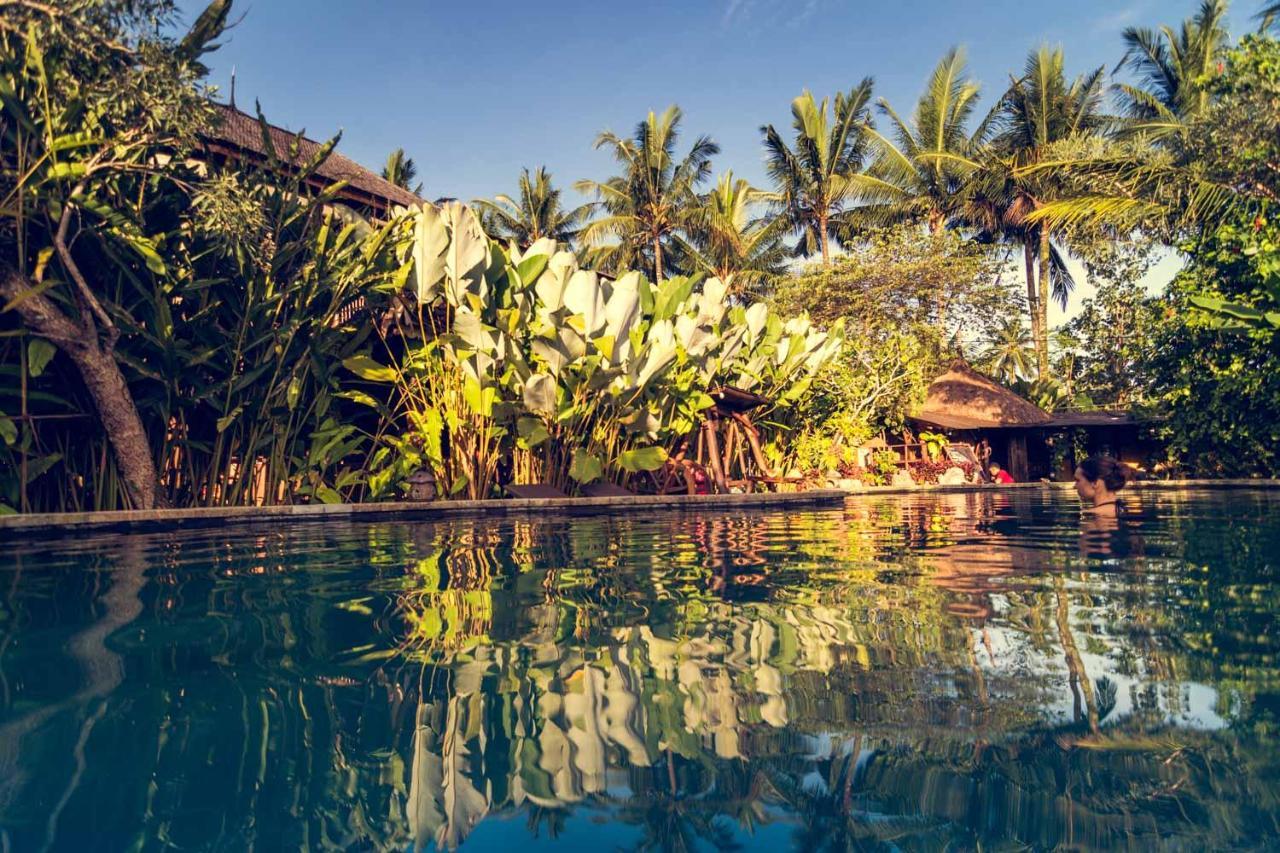 Dragonfly Village Ubud Dış mekan fotoğraf