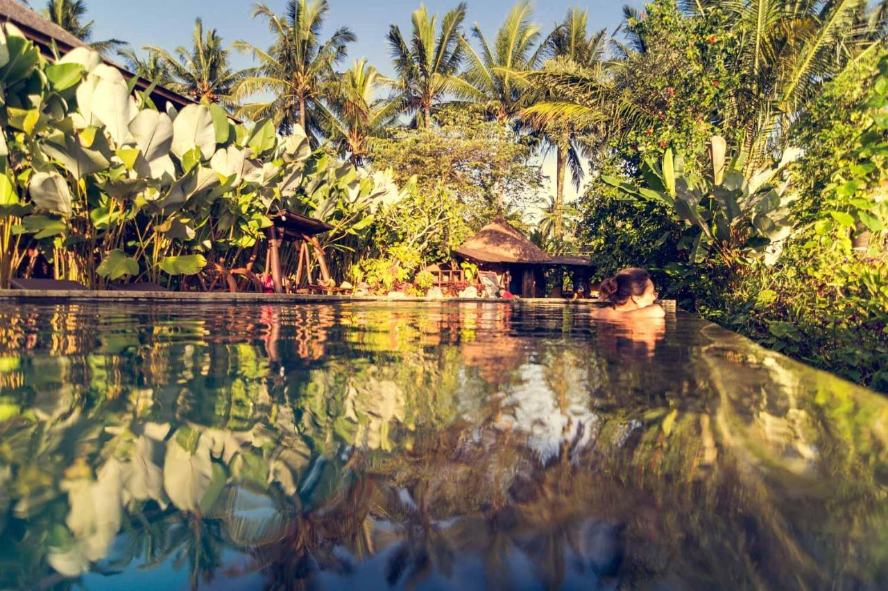 Dragonfly Village Ubud Dış mekan fotoğraf