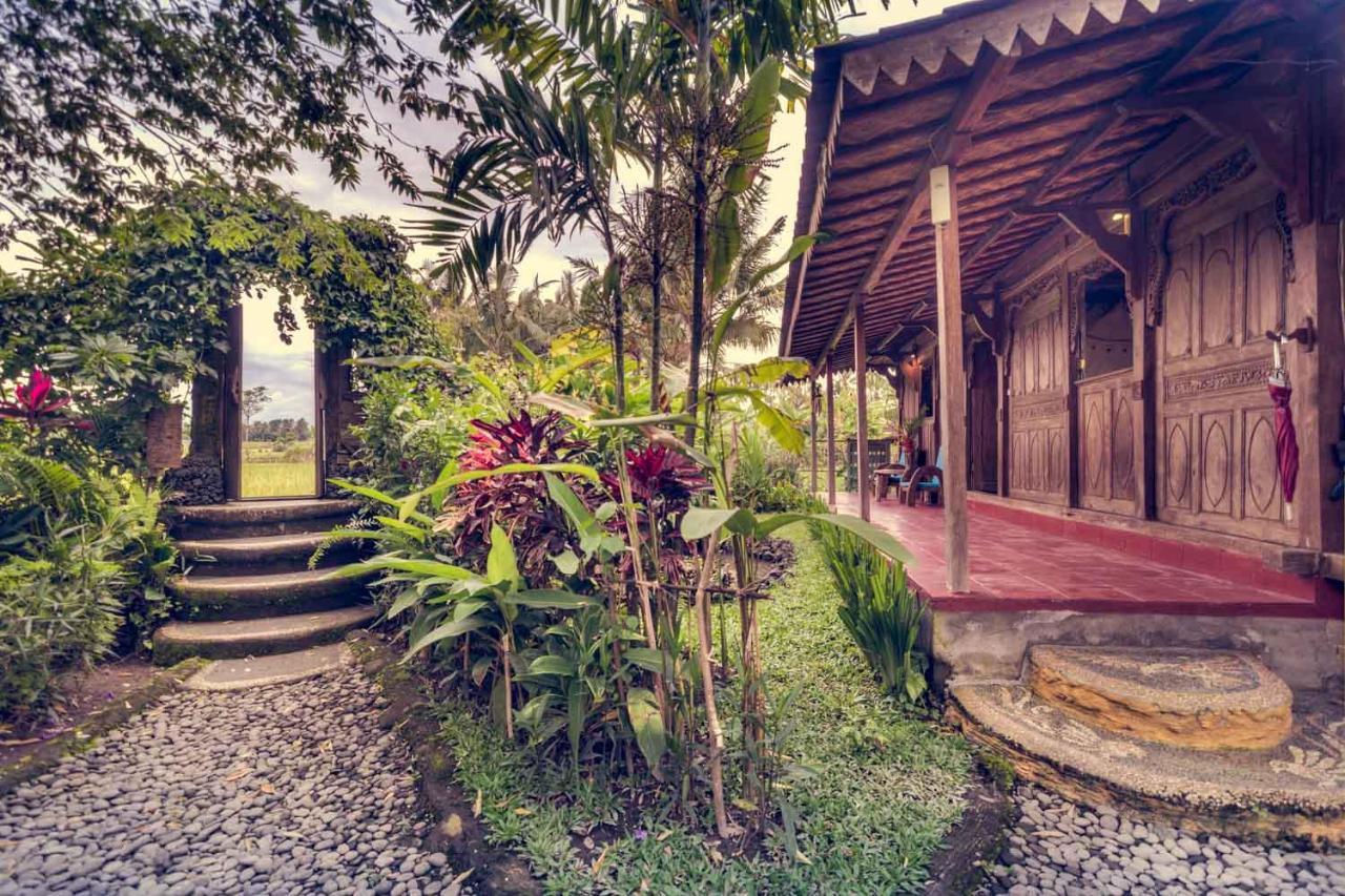 Dragonfly Village Ubud Dış mekan fotoğraf