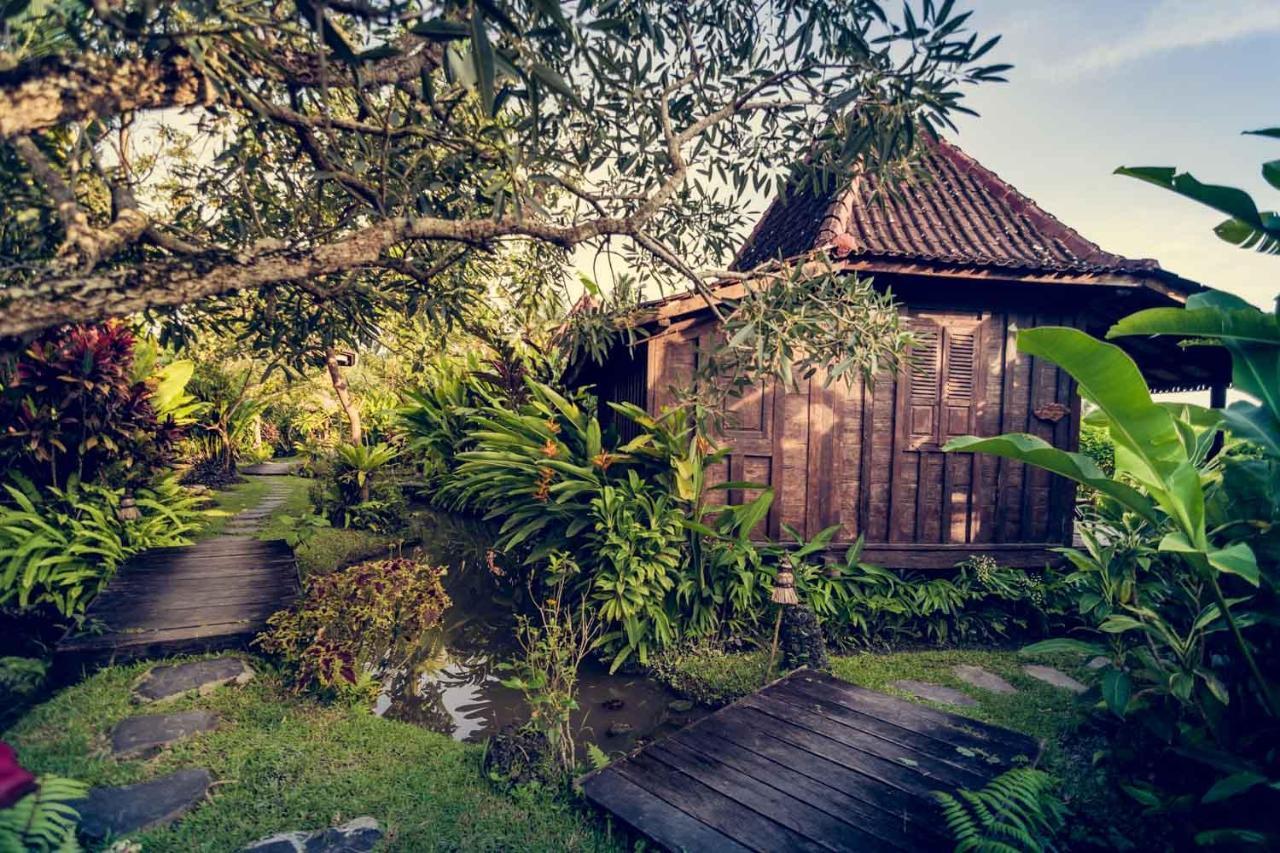 Dragonfly Village Ubud Dış mekan fotoğraf