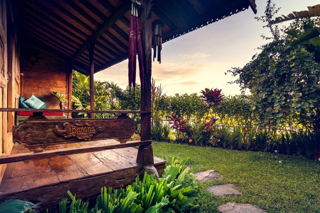 Dragonfly Village Ubud Dış mekan fotoğraf