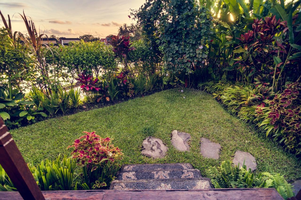 Dragonfly Village Ubud Dış mekan fotoğraf