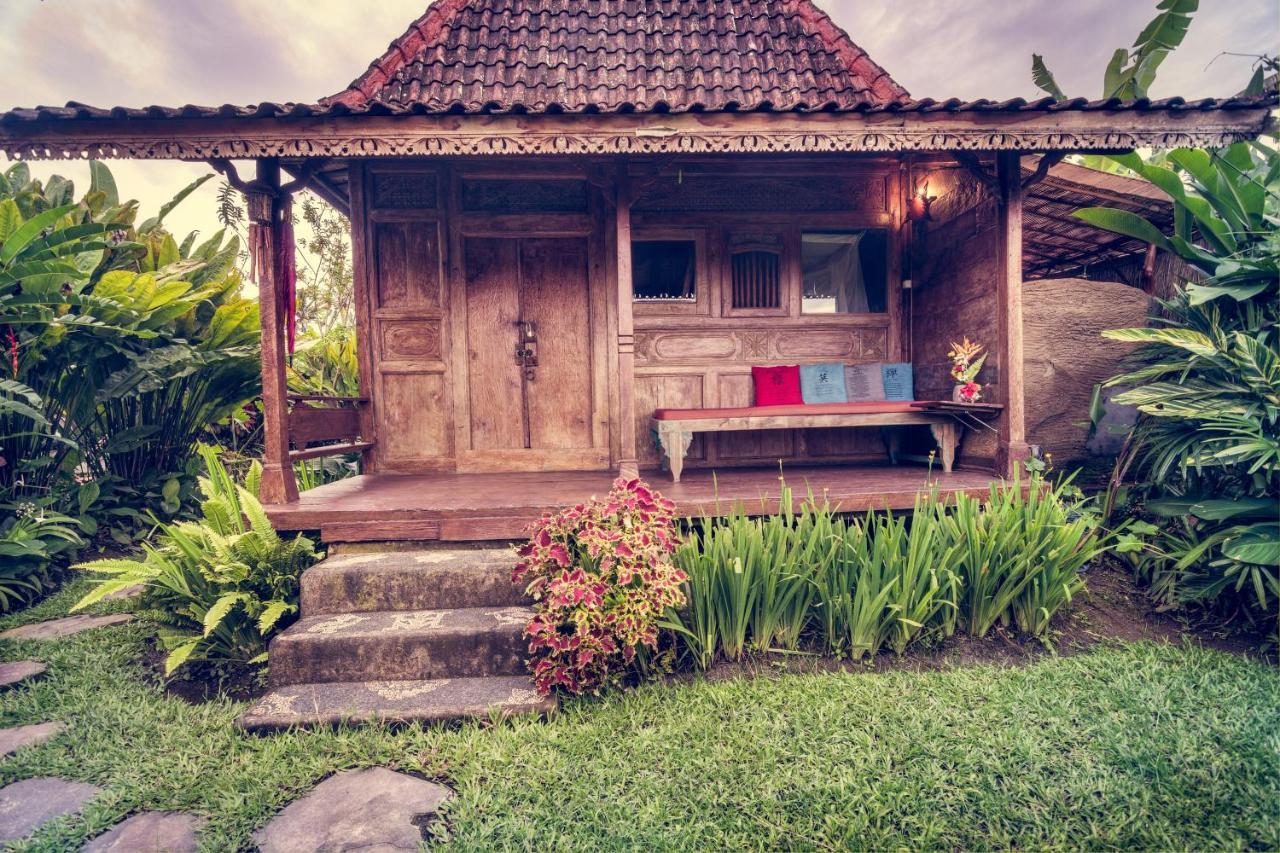 Dragonfly Village Ubud Dış mekan fotoğraf
