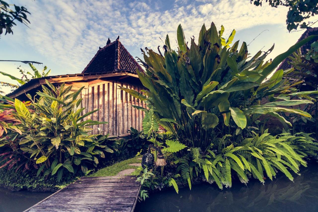 Dragonfly Village Ubud Dış mekan fotoğraf