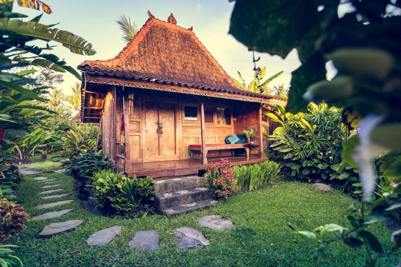 Dragonfly Village Ubud Dış mekan fotoğraf