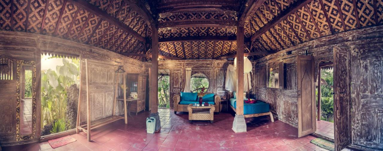 Dragonfly Village Ubud Dış mekan fotoğraf
