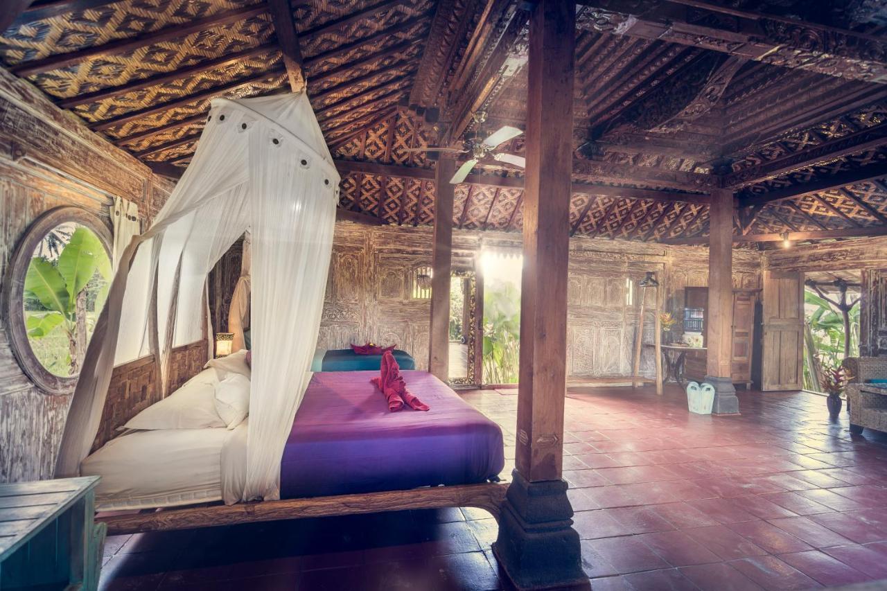 Dragonfly Village Ubud Dış mekan fotoğraf