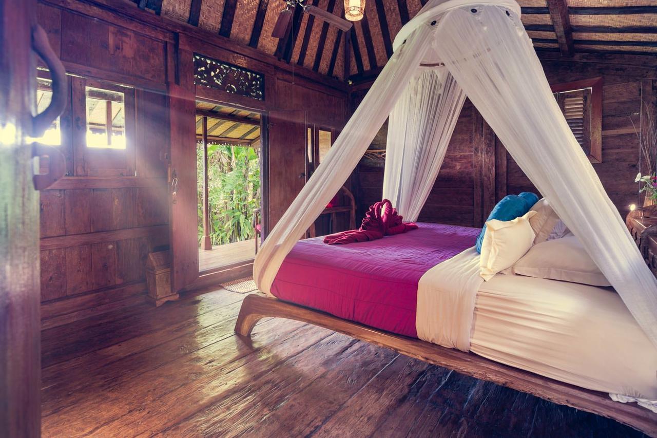 Dragonfly Village Ubud Dış mekan fotoğraf
