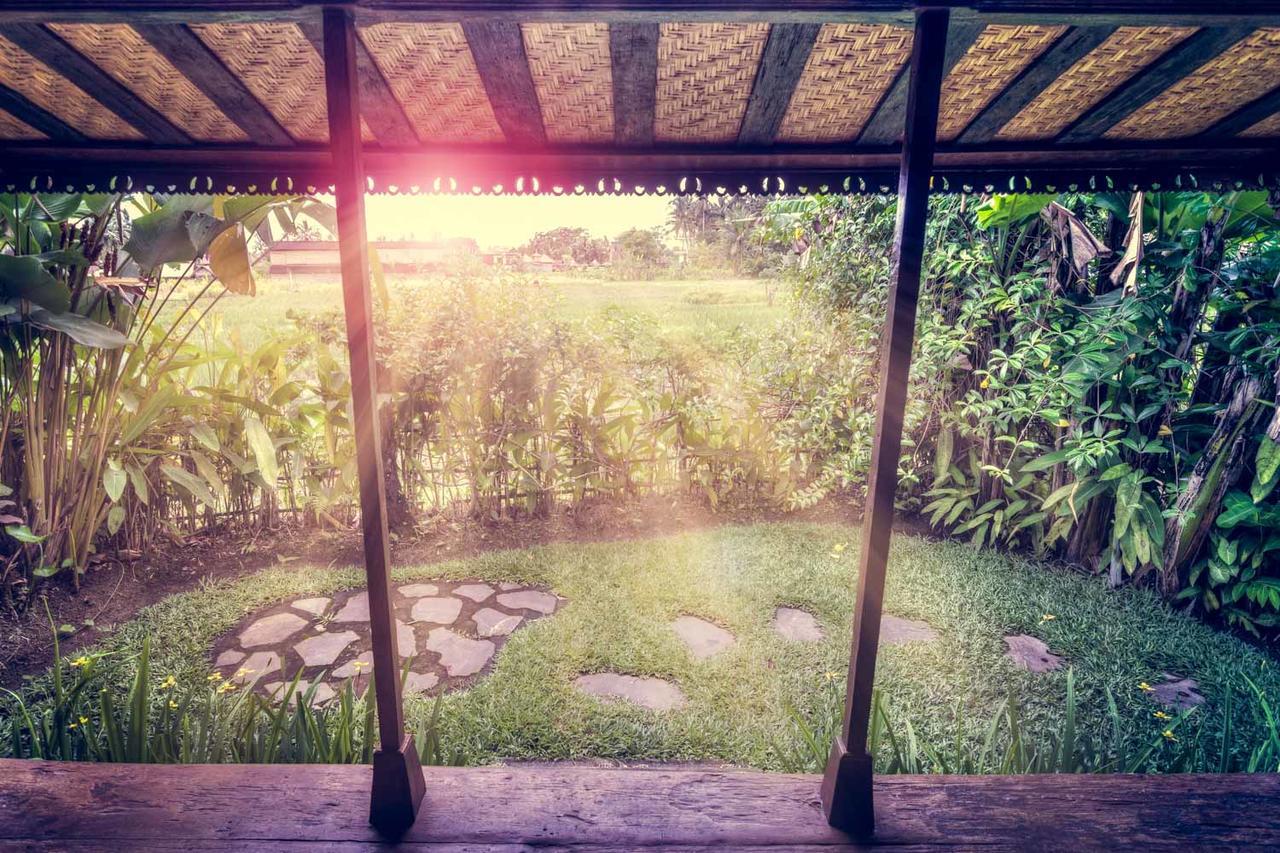 Dragonfly Village Ubud Dış mekan fotoğraf