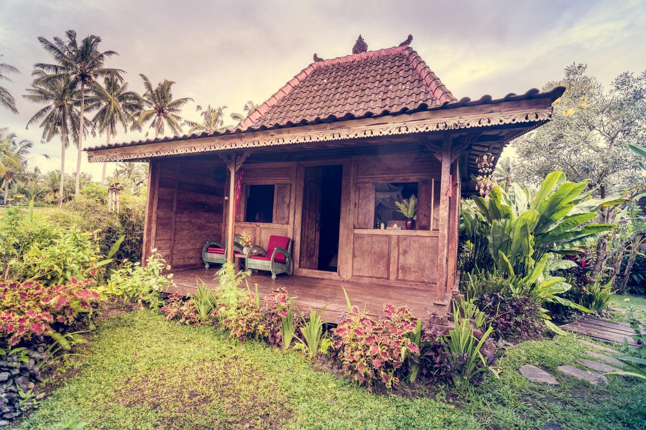 Dragonfly Village Ubud Dış mekan fotoğraf