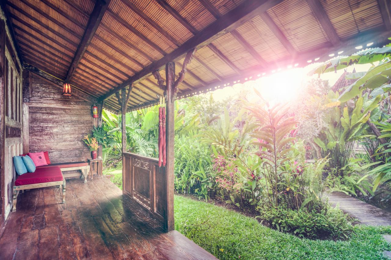 Dragonfly Village Ubud Dış mekan fotoğraf