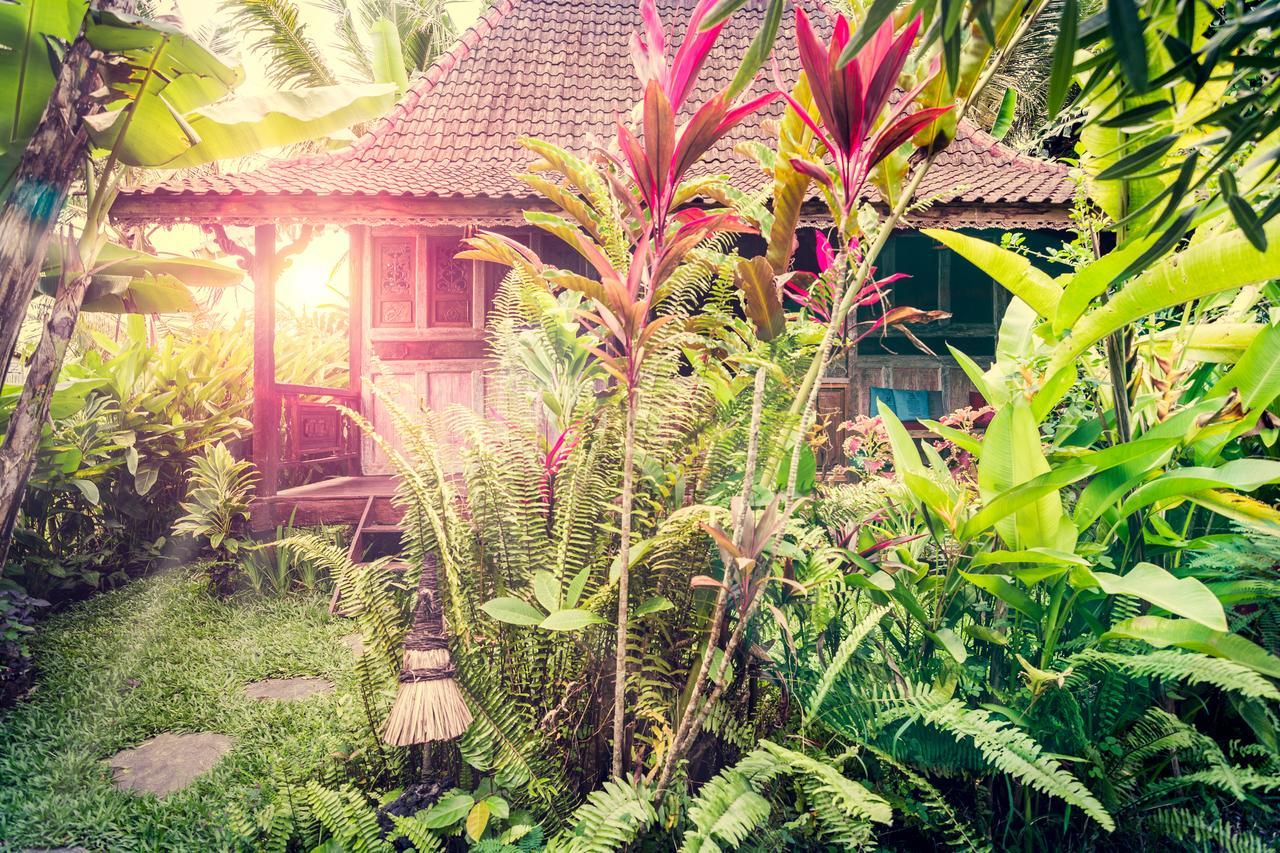 Dragonfly Village Ubud Dış mekan fotoğraf
