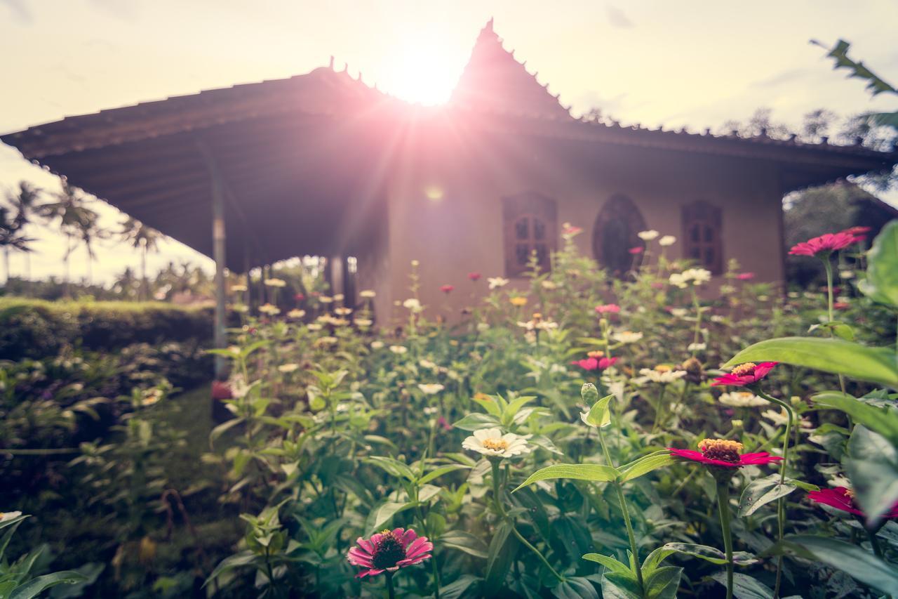 Dragonfly Village Ubud Dış mekan fotoğraf