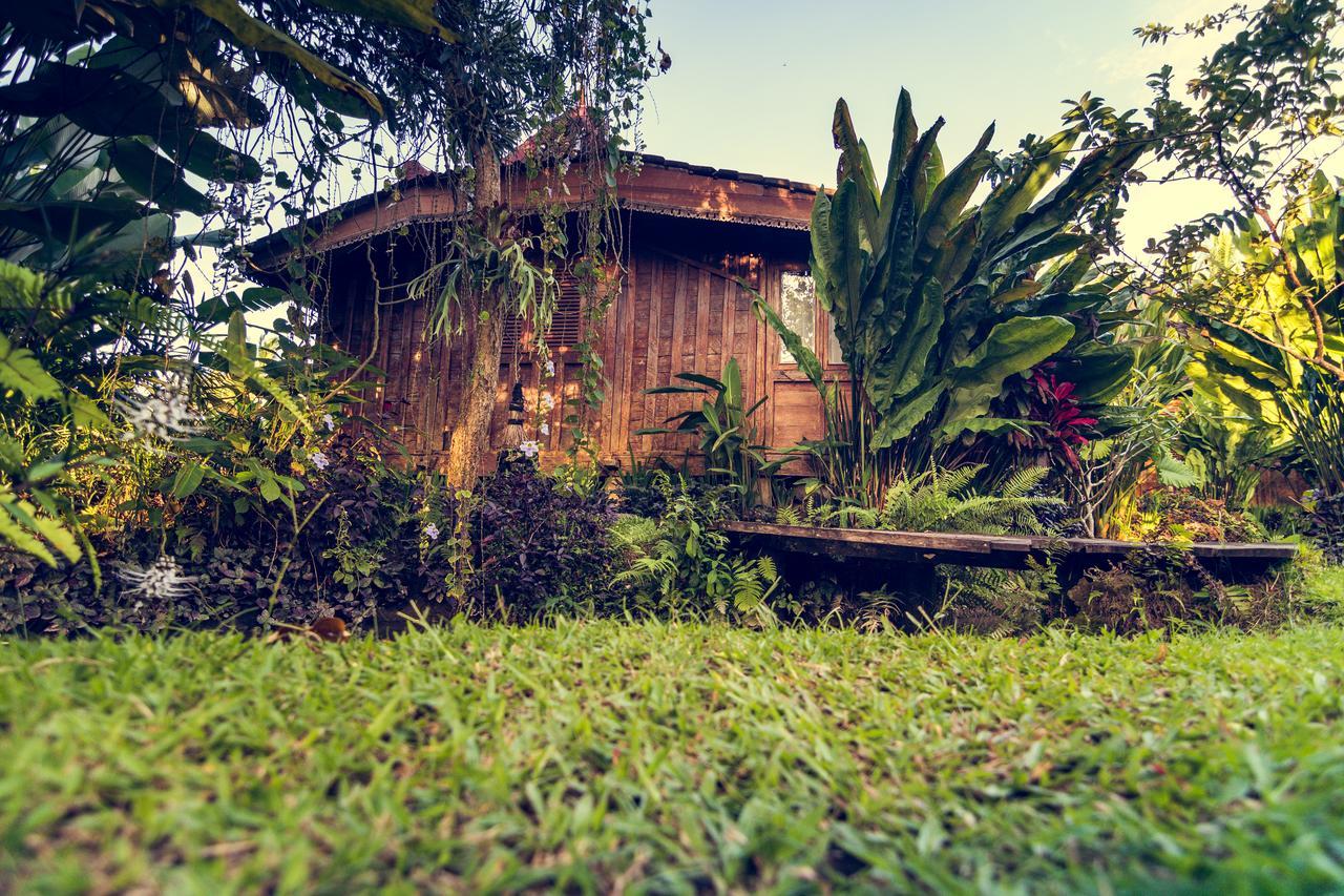 Dragonfly Village Ubud Dış mekan fotoğraf