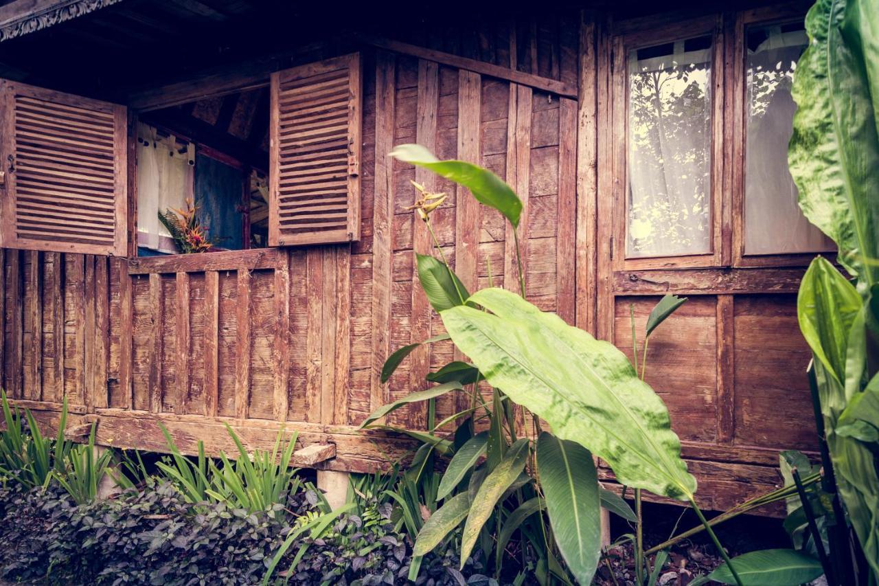 Dragonfly Village Ubud Dış mekan fotoğraf