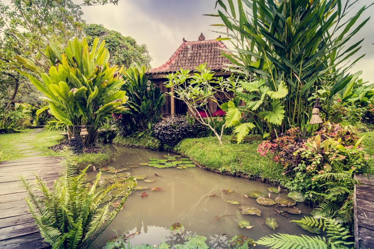 Dragonfly Village Ubud Dış mekan fotoğraf