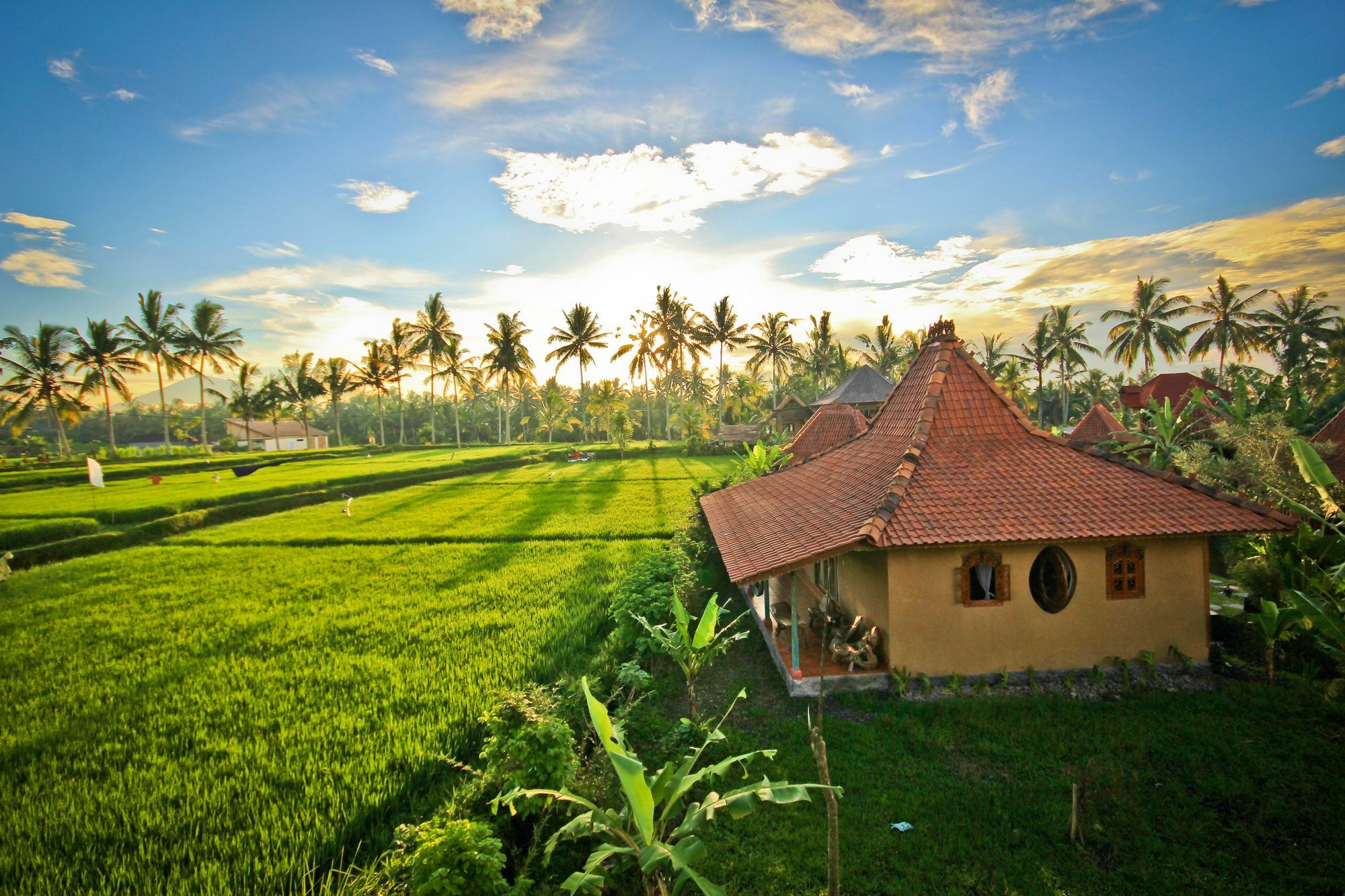 Dragonfly Village Ubud Dış mekan fotoğraf